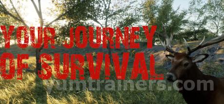 Your Journey of Survival Trainer