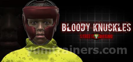 Bloody Knuckles Street Boxing Trainer