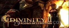 Divinity 2: Flames of Vengeance Trainer