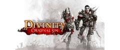 Divinity: Original Sin Trainer