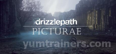 Drizzlepath: Picturae Trainer