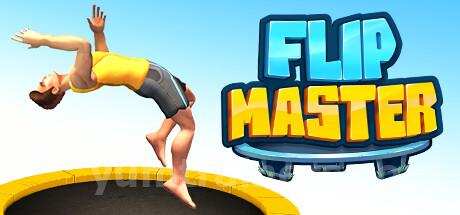 Flip Master Trainer