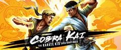 Cobra Kai The Karate Kid Saga Continues Trainer