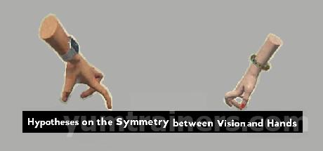 Hypotheses on the Symmetry between Vision and Hands Trainer