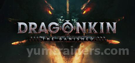 Dragonkin: The Banished Trainer