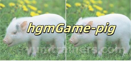 hgmGame-pig Trainer