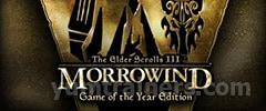 Elder Scrolls 3: Morrowind Trainer