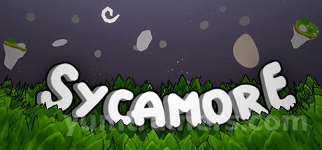 Sycamore Trainer