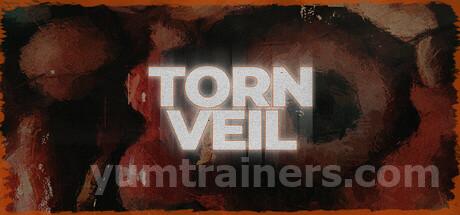 Torn Veil Trainer