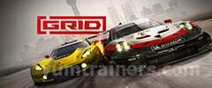 Grid 2019 Trainer