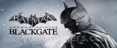 Batman: Arkham Origins - Blackgate Trainer