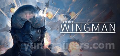 Project Wingman Trainer