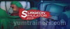 Surgeon Simulator 2013 Trainer