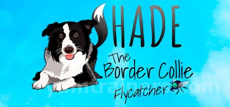 SHADE The Border Collie Flycatcher Trainer