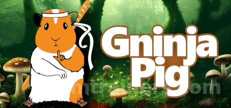 Gninja Pig Trainer